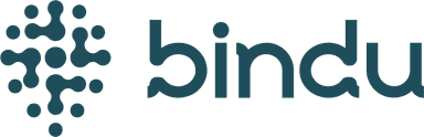 Bindu Intelligence Logo or Image